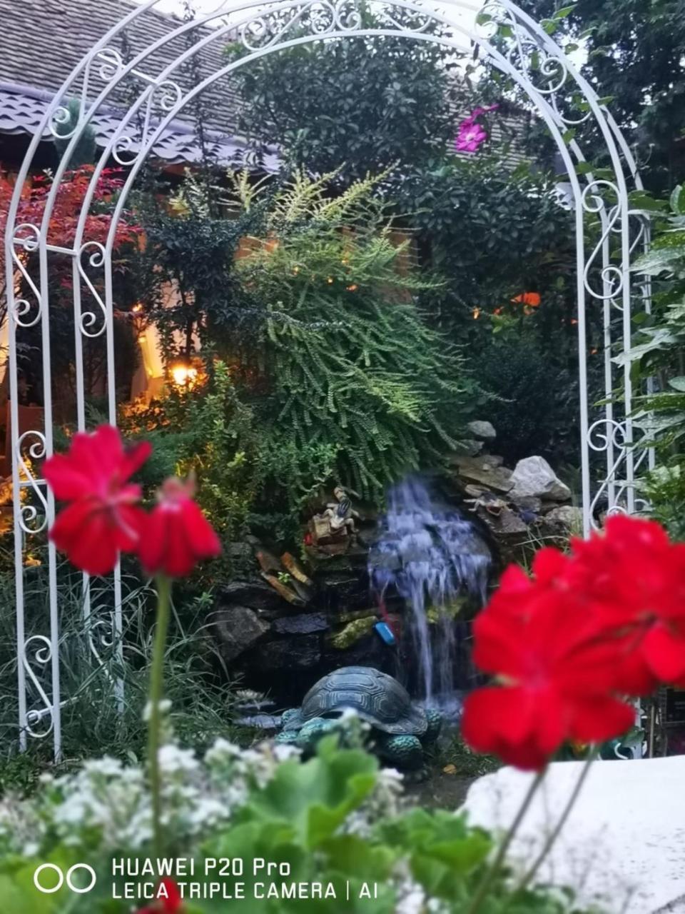 Hotel-Pensiunea Zefir Timisoara Bagian luar foto